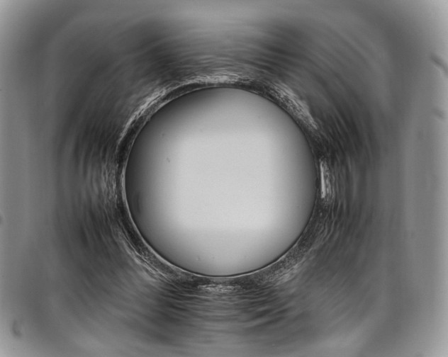 X0000098040300200803281438