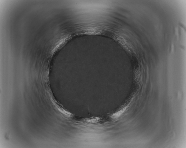 X0000098040303200803281438