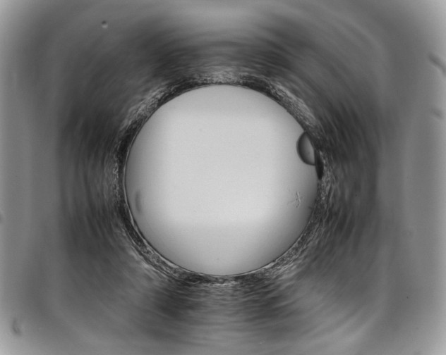 X0000098040306200803281438