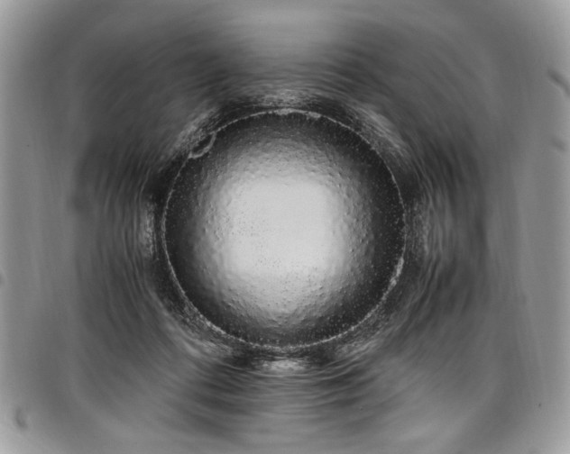 X0000098040312200803281438