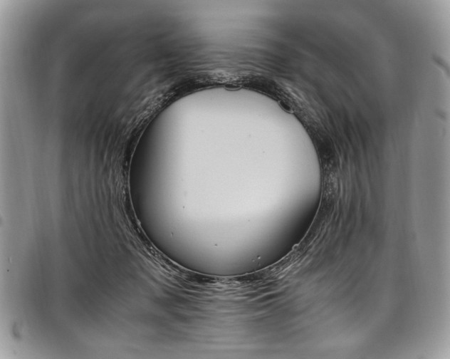 X0000098040317200803281438