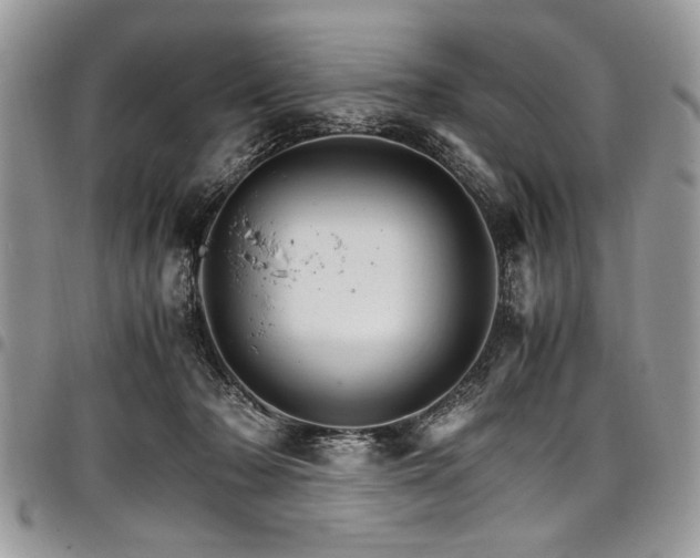 X0000098040318200803281438