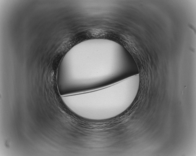 X0000098040319200803281438
