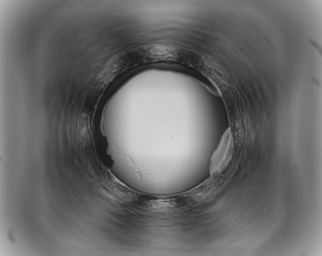 X0000098040320200803281438