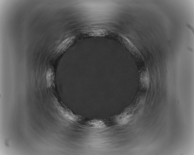 X0000098040322200803281438