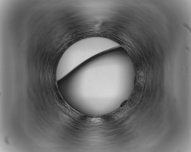 X0000098040324200803281438