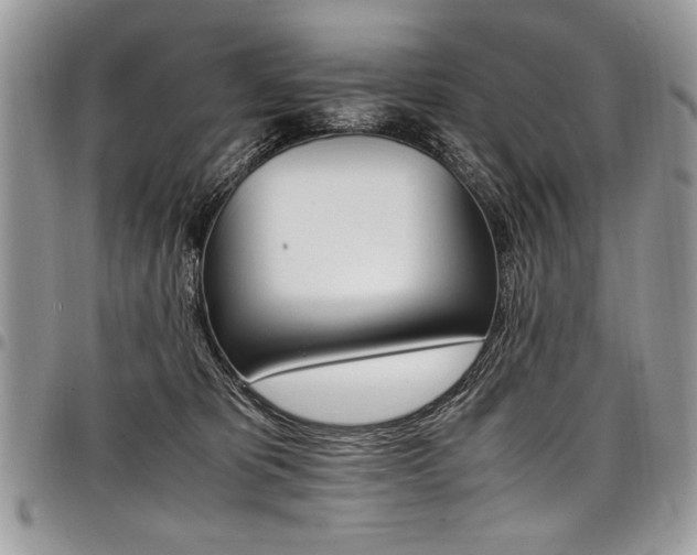 X0000098040325200803281438