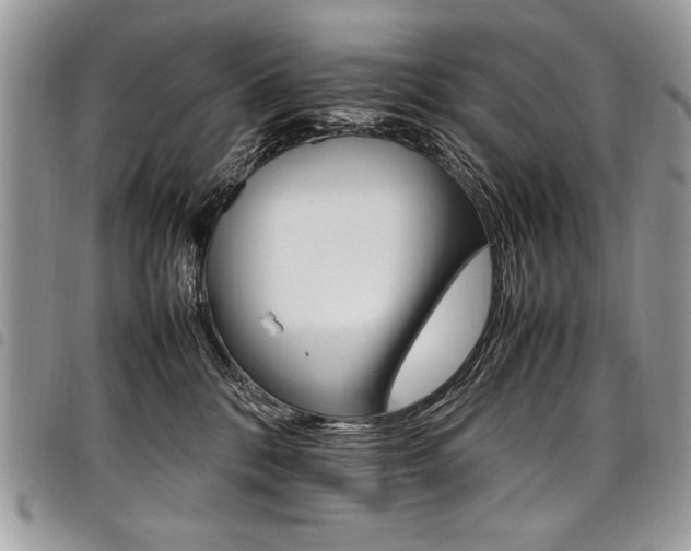 X0000098040328200803281438