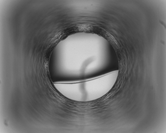X0000098040329200803281437