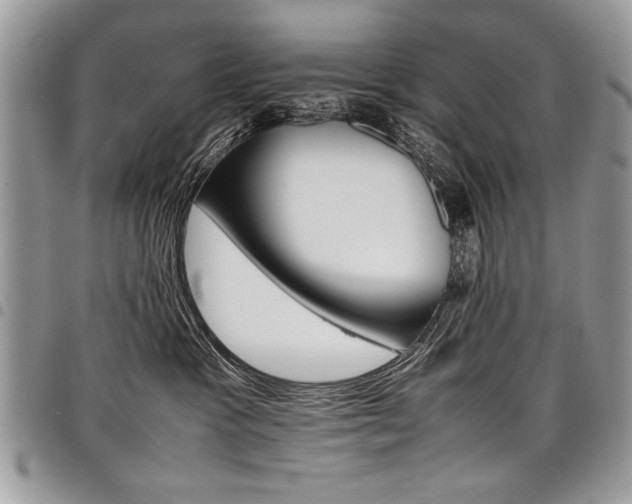 X0000098040333200803281437