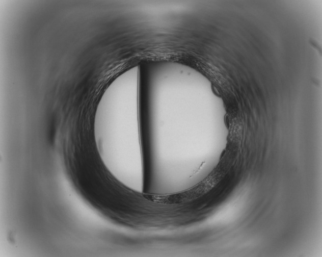 X0000098040335200803281437