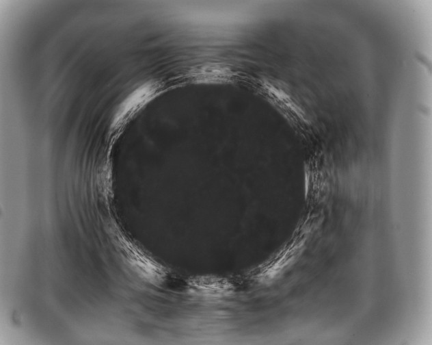 X0000098040339200803281437