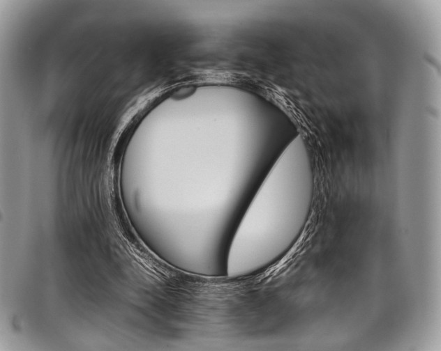 X0000098040342200803281437
