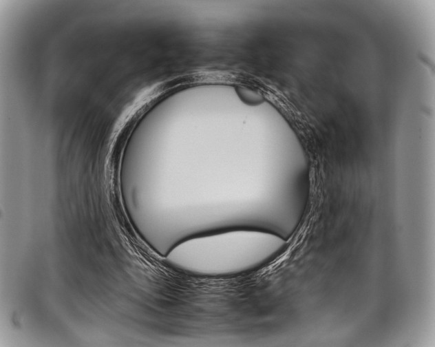 X0000098040343200803281437