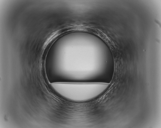 X0000098040344200803281437