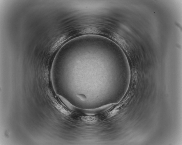 X0000098040345200803281437