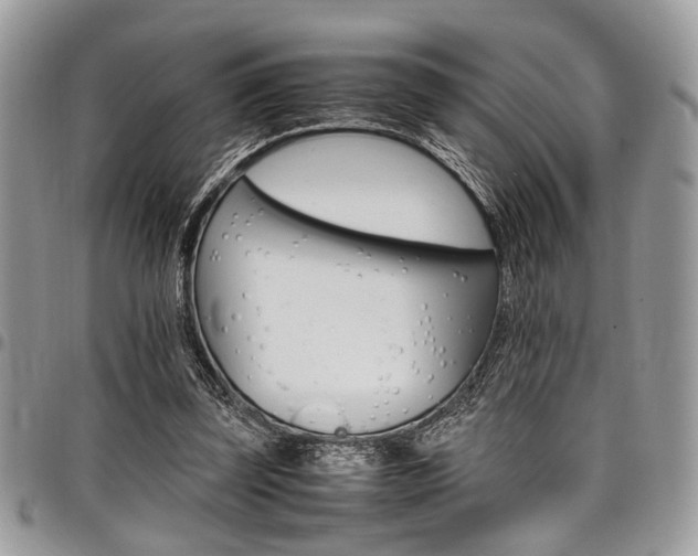 X0000098040347200803281437