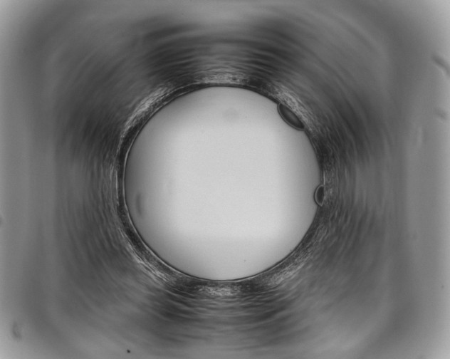 X0000098040349200803281437