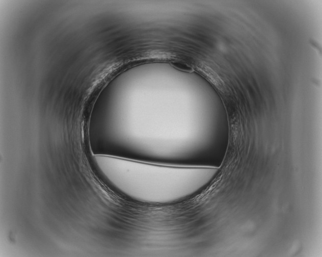X0000098040350200803281437