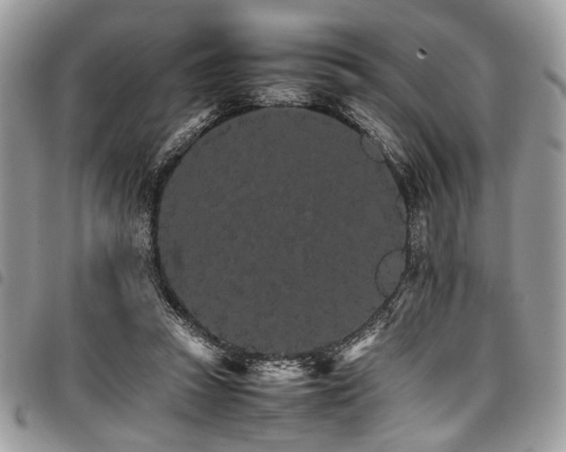 X0000098040353200803281437