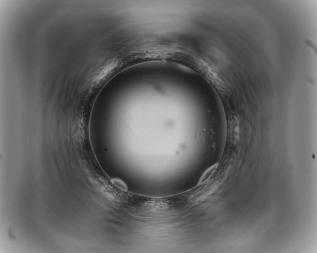 X0000098040354200803281437