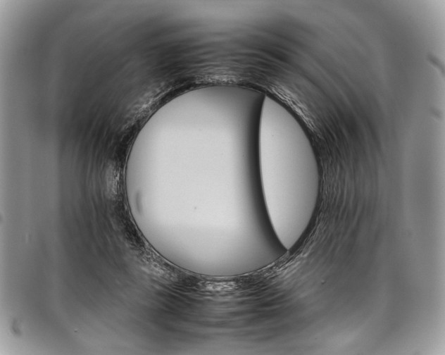 X0000098040355200803281437