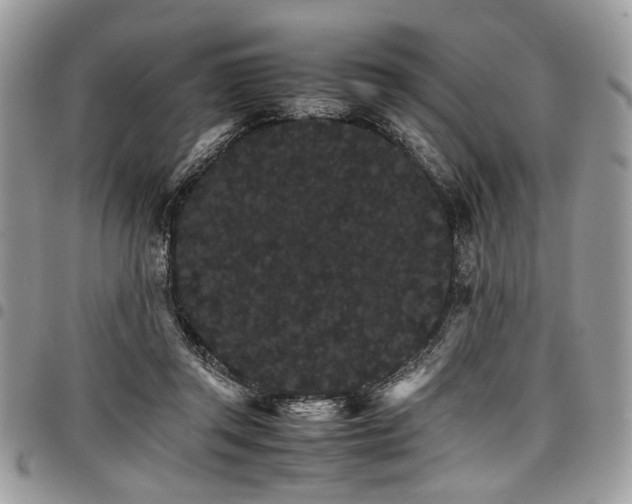 X0000098040357200803281437