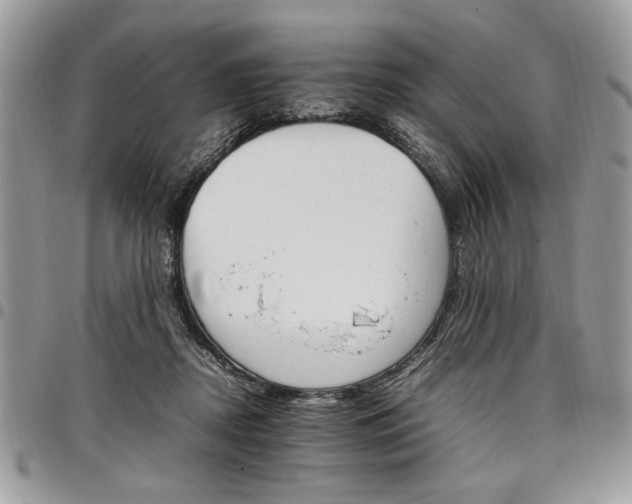X0000098040362200803281437
