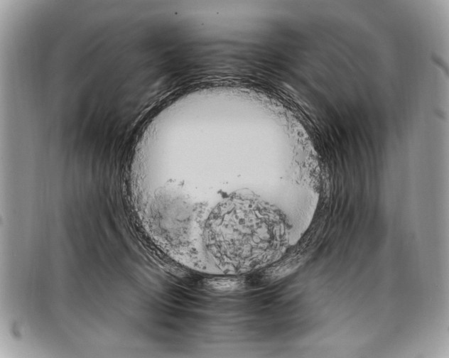 X0000098040370200803281437