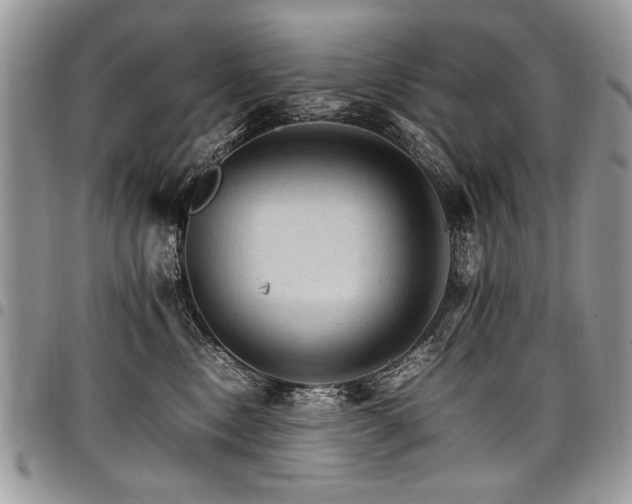 X0000098040378200803281437