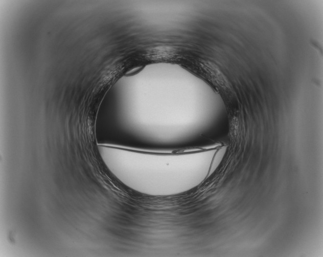 X0000098040380200803281437