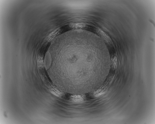 X0000098040381200803281437