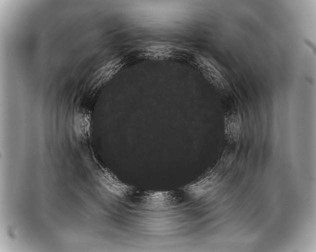 X0000098040382200803281437