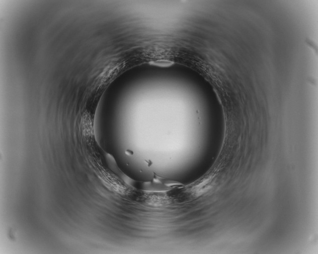 X0000098040384200803281437