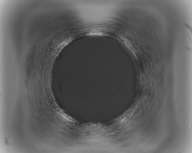 X0000098040385200803281437