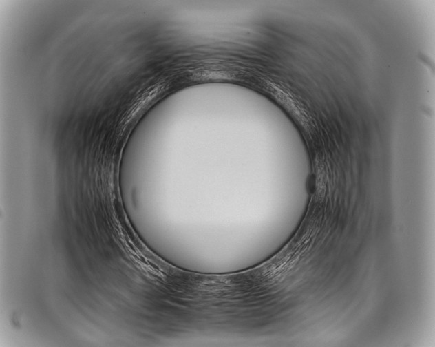 X0000098040386200803281437