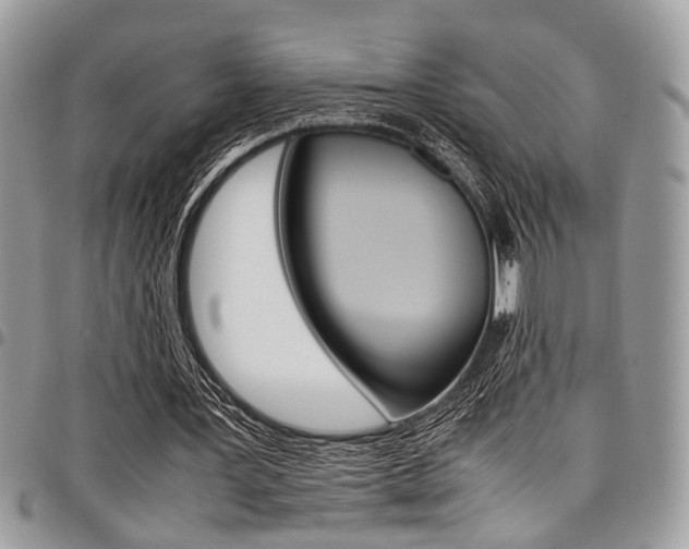 X0000098040387200803281437