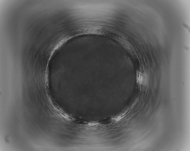 X0000098040388200803281437