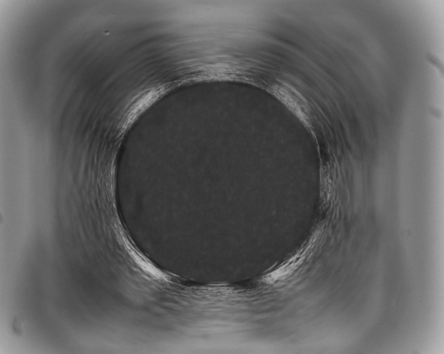 X0000098040389200803281436