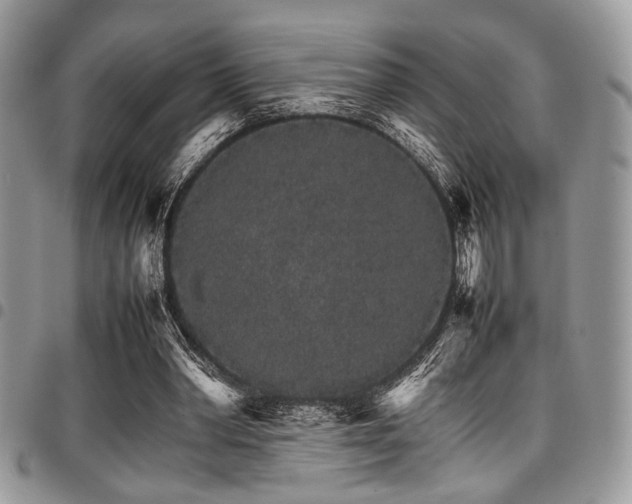X0000098040390200803281436