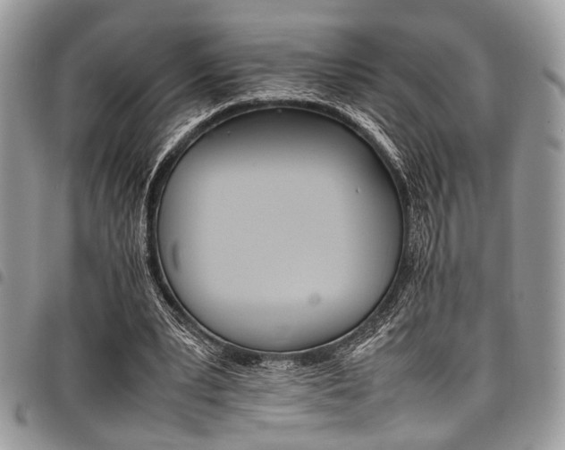 X0000098040391200803281436