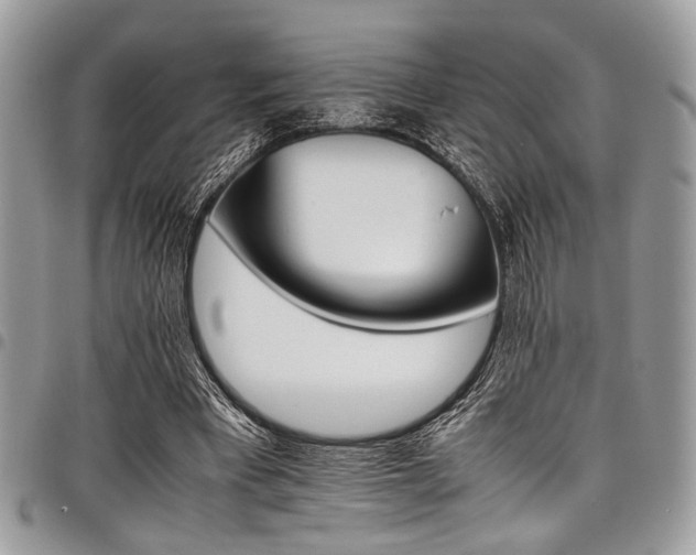 X0000098040393200803281436