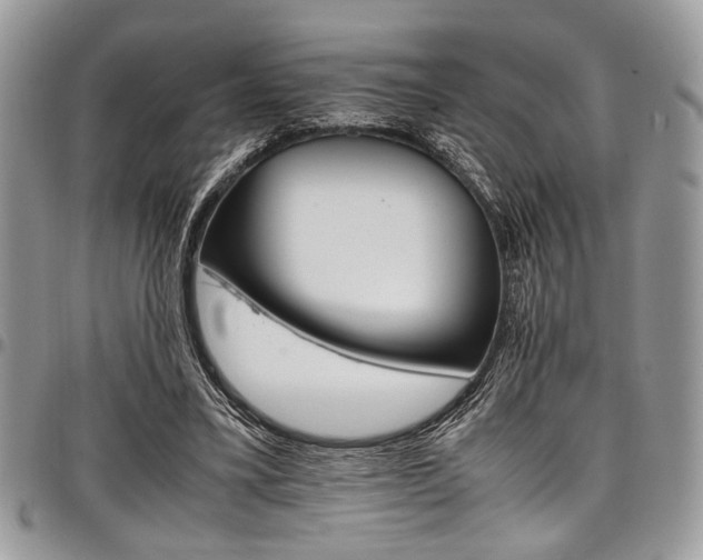 X0000098040395200803281436
