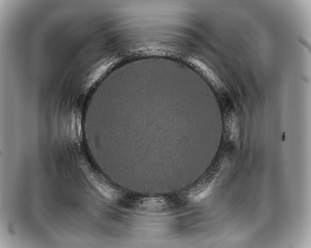 X0000098040398200803281436