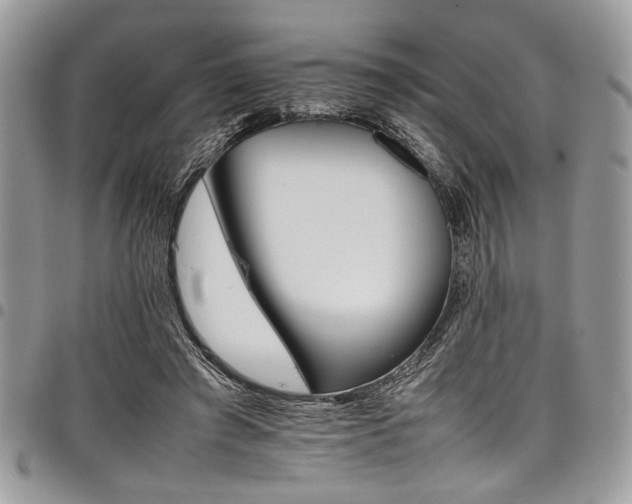 X0000098040401200803281436