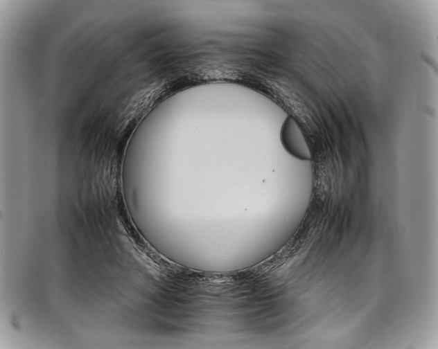 X0000098040402200803281436