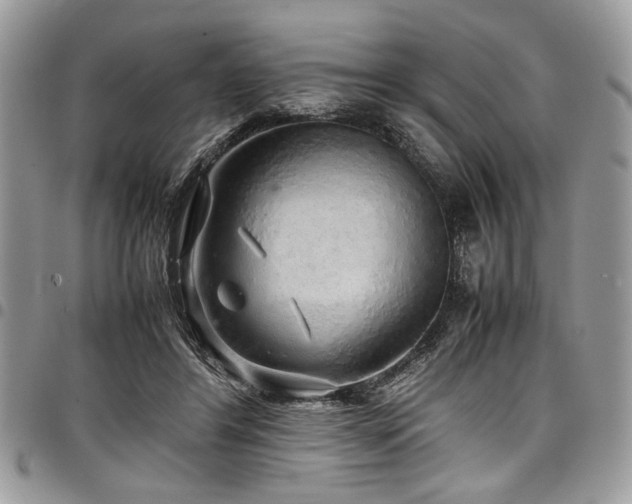 X0000098040404200803281436