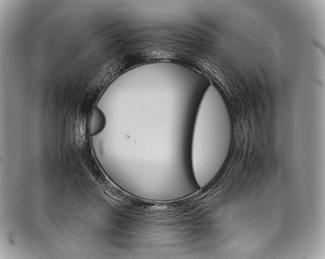 X0000098040406200803281436