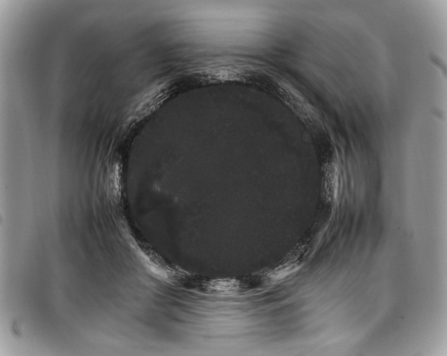 X0000098040410200803281436