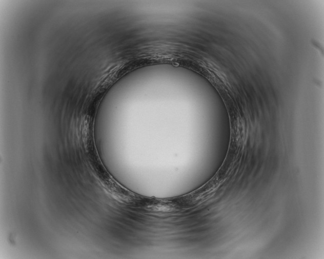 X0000098040412200803281436
